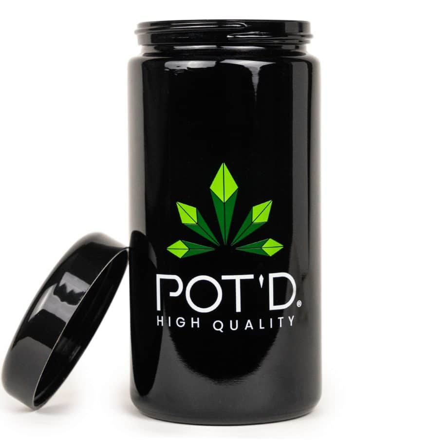 XL violet jar - Pot'D